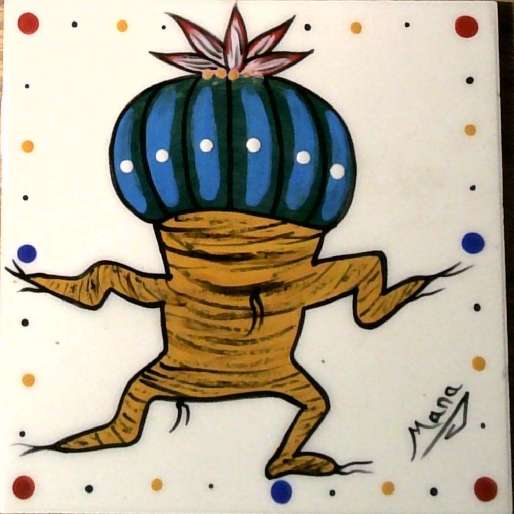 Photo of Mana Pottery 6 inch tile featuring dancing Peyote.